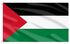 Palestine Flag