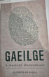 GAEILGE A Radical Revolution